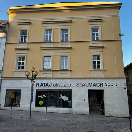 Luxury Center In Historic Building Apartment *